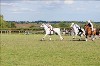 UKPA  NC Sat_1274